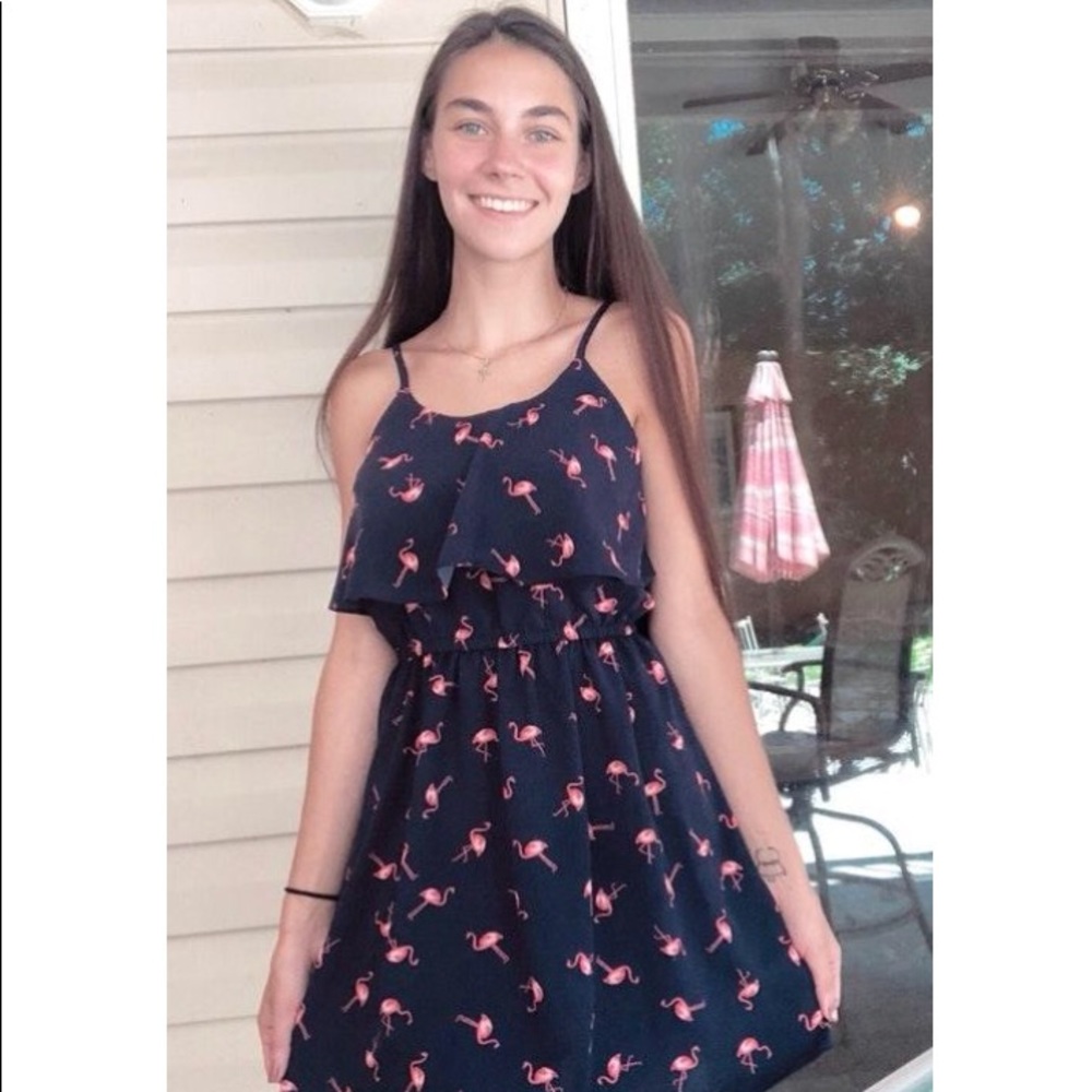 Flamingo Dress